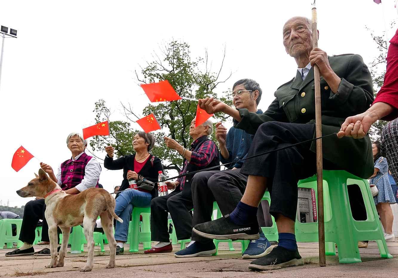 饥饿的松鼠救援